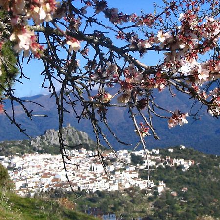 La Fructuosa Otel Gaucín Dış mekan fotoğraf