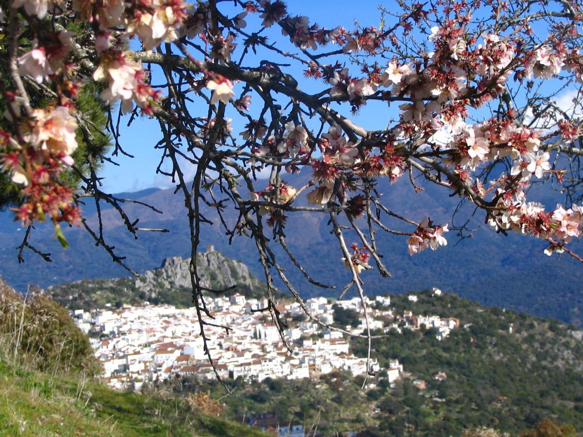 La Fructuosa Otel Gaucín Dış mekan fotoğraf